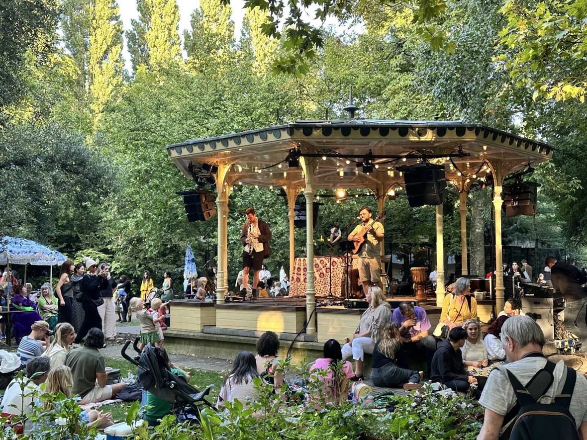 Optreden in de avondzon tijdens een eerdere Zoomeravond in ARTIS