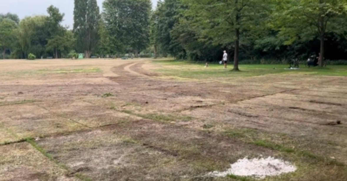 Kale, vertrapte grond met zichtbare bandensporen op een grasveld in het Flevopark