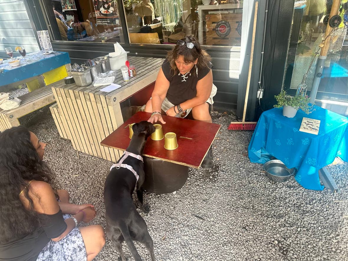 Een hond speelt balletje-balletje met drie gouden bekers op een tafeltje, begeleid door een vrijwilliger