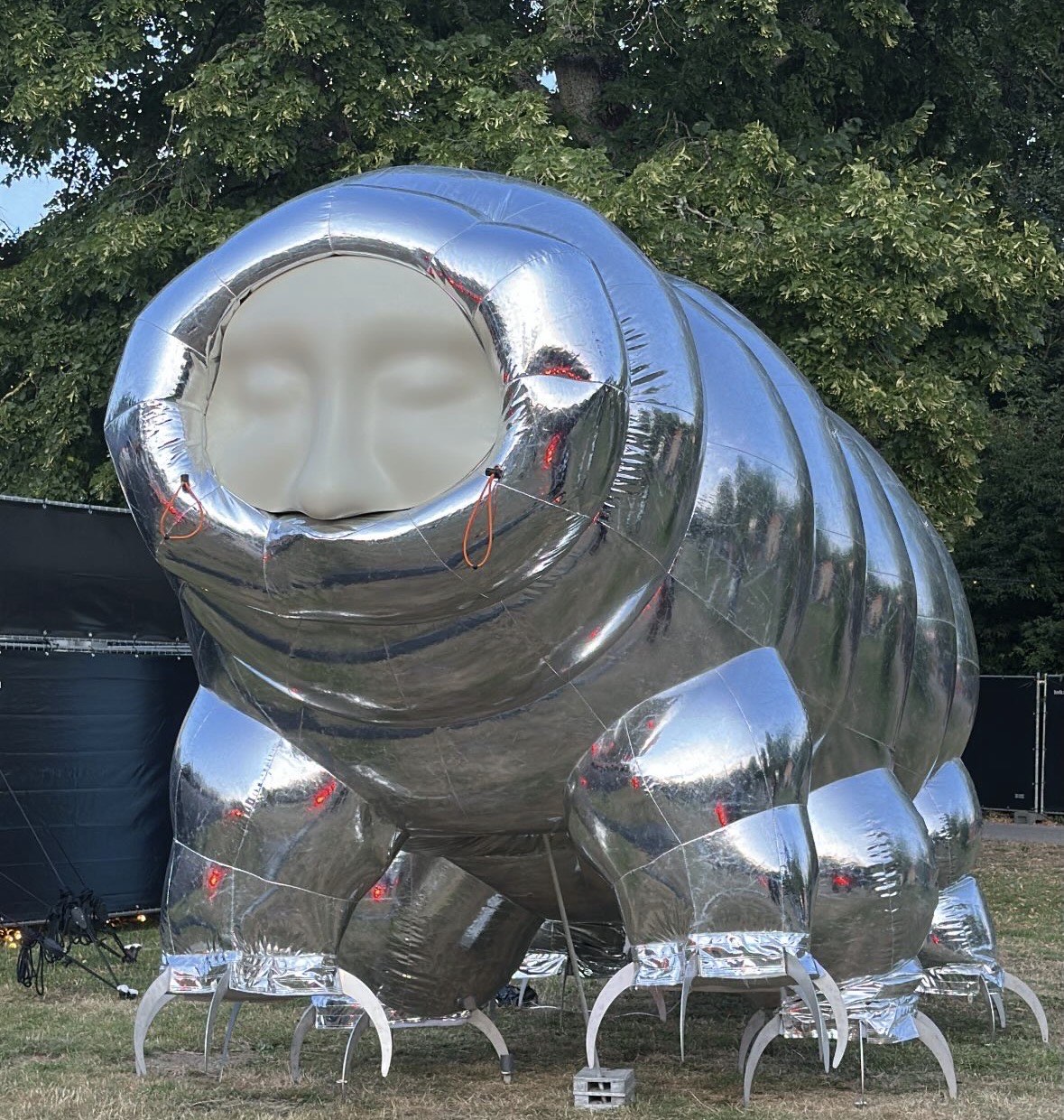 Het monumentale kunstwerk Last Survivors van Stine Deja, waarin een menselijk gezicht samensmelt met een waterbeer