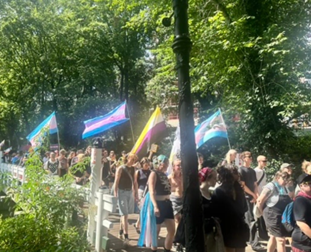Vlaggen van de transgendergemeenschap tijdens een eerdere editie van de Trans Pride Walk